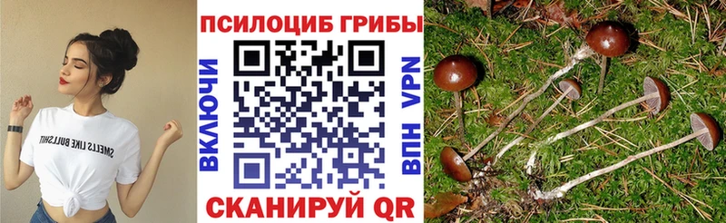 Купить  Новоульяновск  Галлюциногенные грибы MAGIC MUSHROOMS 